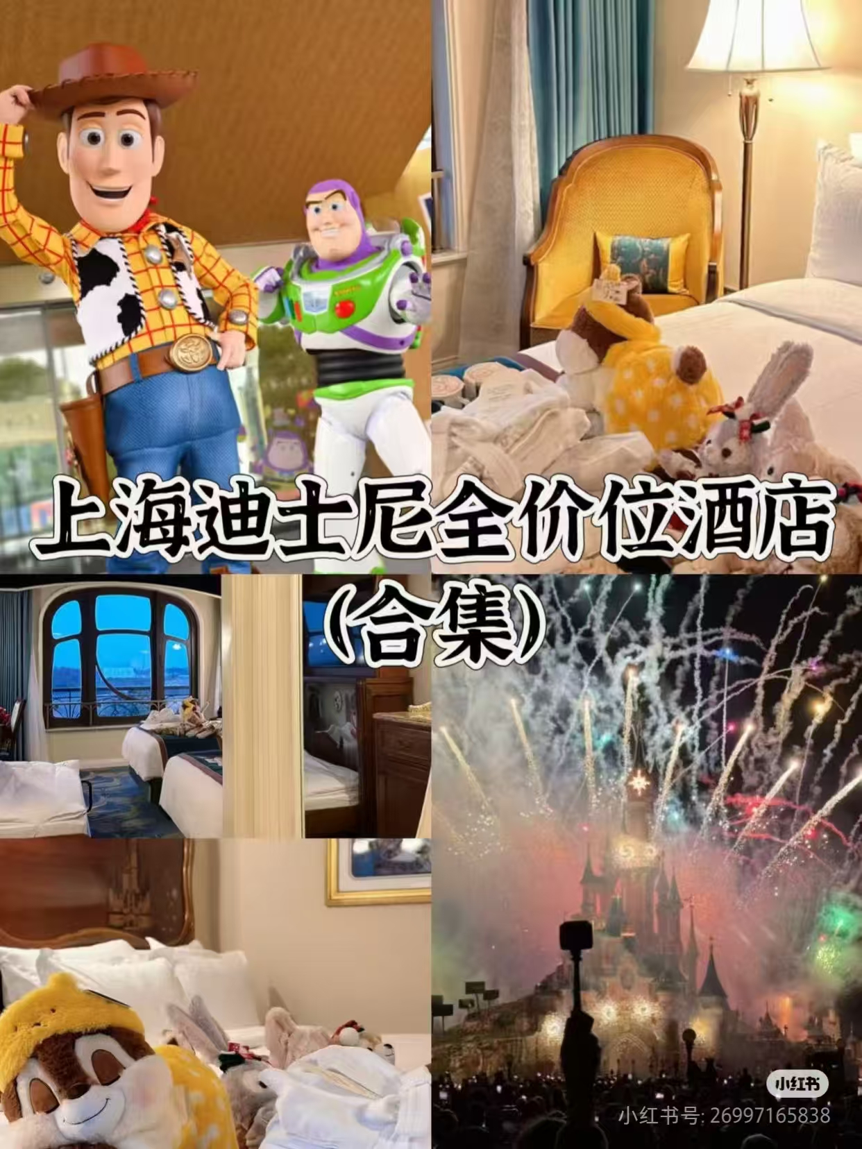 上海迪士尼酒店罗依琳
