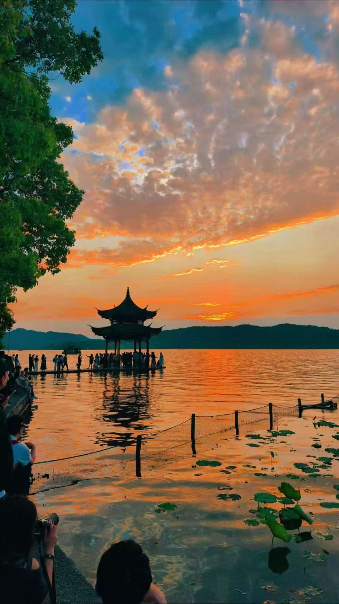 杨艨